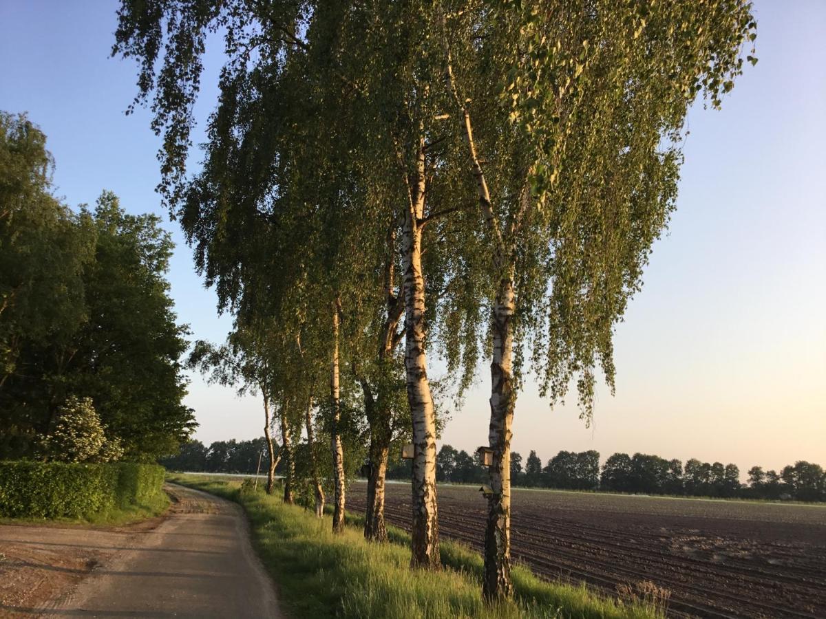 B&B Op 'T Eikenschoor Soerendonk Exteriör bild